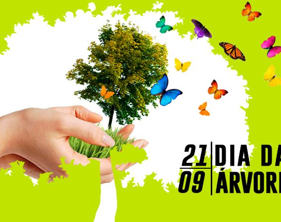 Dia da árvore: curiosidades e origem da data