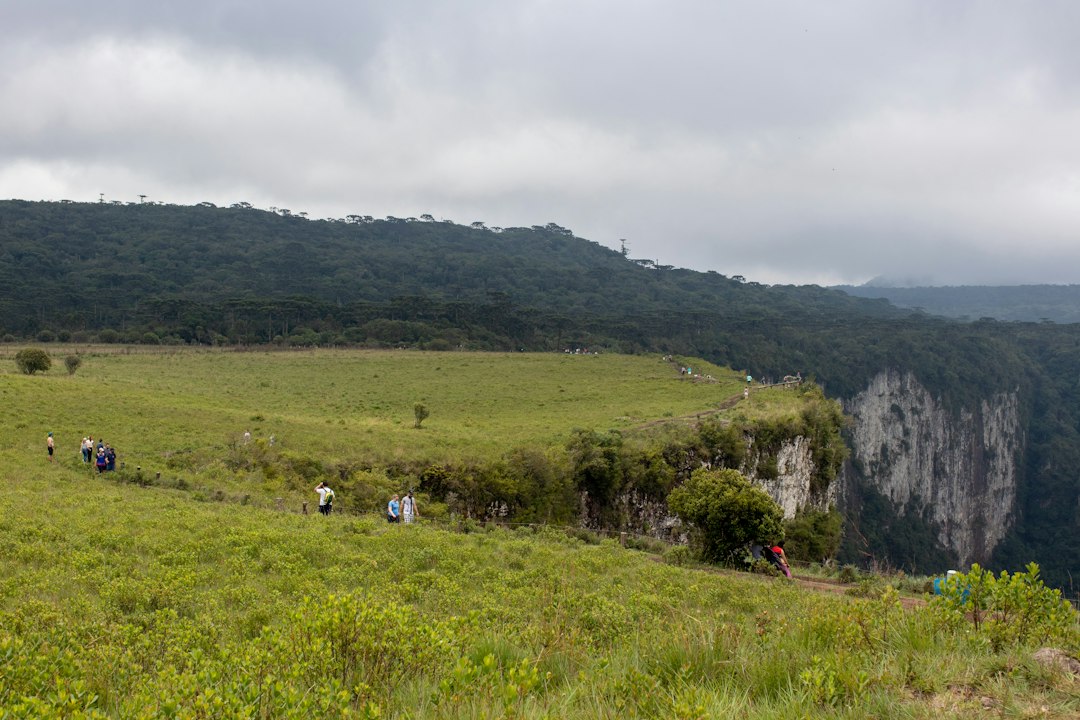 An image showcasing the breathtaking trails of Campos Do Jordão