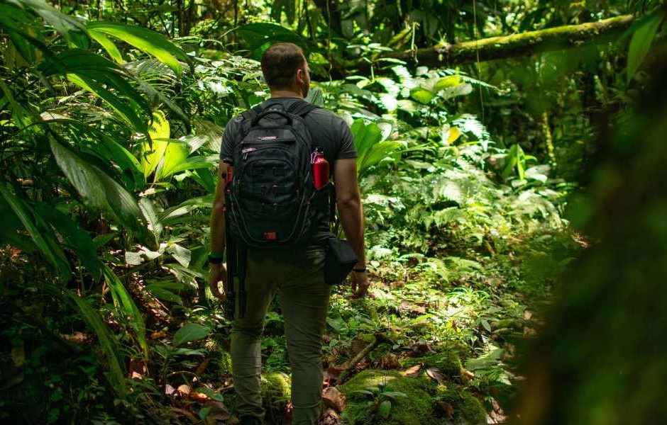 Ecoturismo e Tecnologia: Aplicativos e Ferramentas Úteis para sua Viagem