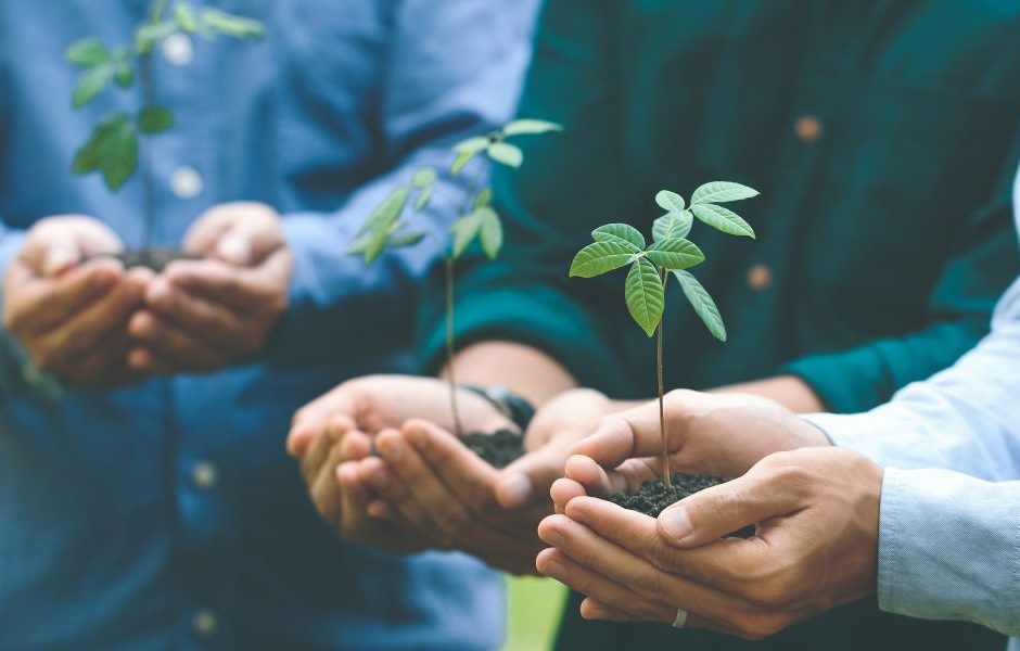 Como Escolher Projetos de Turismo Comunitário Éticos e Sustentáveis