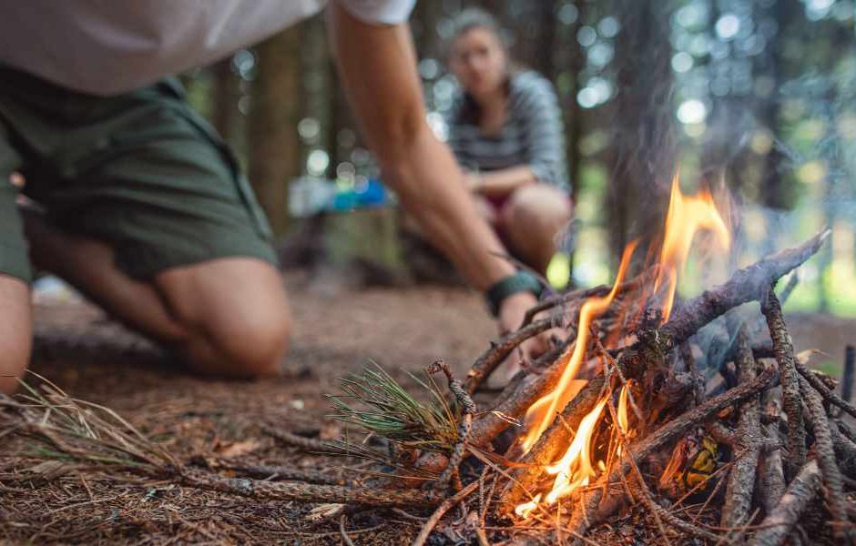 8 Técnicas de Sobrevivência na Floresta: Estratégias Essenciais para Aventuras na Natureza